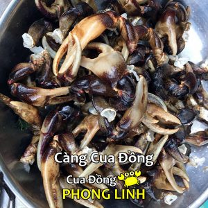 cang-cua-dong-phong-linh_optimized