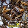cua-dong-song-mien-bac