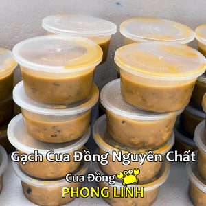 gach-cua-dong-nguyen-chat-phong-linh_optimized