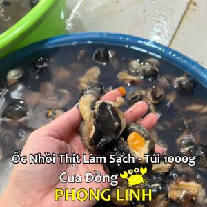 ban-buon-oc-nhoi-thit-lam-sach_optimized