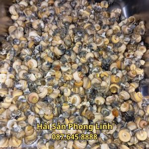 ban-buon-oc-van-thit-lam-sach-gia-re_optimized
