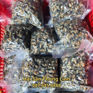 gia-ban-oc-van-thit-lam-sach-2026_optimized