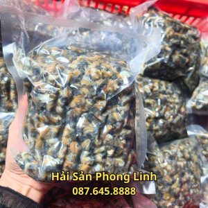 hinh-anh-oc-van-thit-lam-sach_optimized