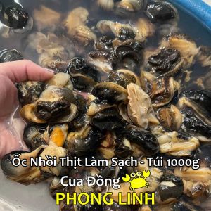 san-pham-oc-nhoi-thit-lam-sach-phong-linh_optimized