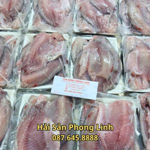 cua-hang-ban-ca-ro-phi-phi-le-ngon-nhat_optimized