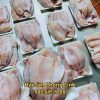 gia-ban-ca-ro-phi-phi-le-moi-nhat_optimized